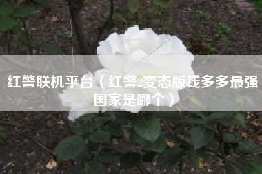 红警联机平台（红警2变态版钱多多最强国家是哪个）