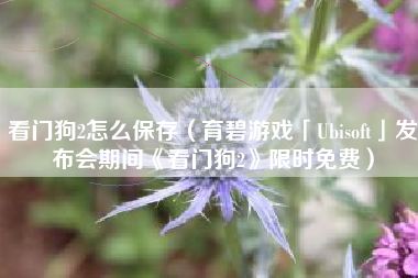 看门狗2怎么保存（育碧游戏「Ubisoft」发布会期间《看门狗2》限时免费）