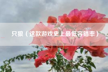 只狼（这款游戏史上最低容错率）
