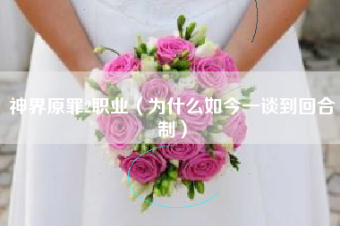 神界原罪2职业（为什么如今一谈到回合制）