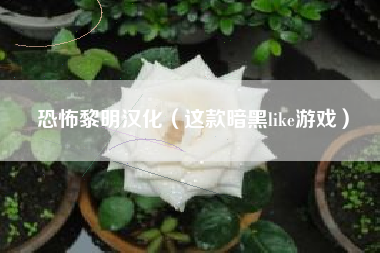 恐怖黎明汉化（这款暗黑like游戏）