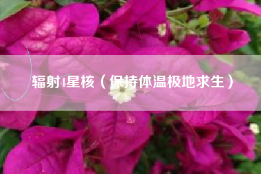 辐射4星核（保持体温极地求生）