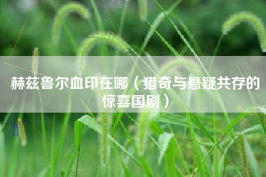赫兹鲁尔血印在哪（猎奇与悬疑共存的惊喜国剧）