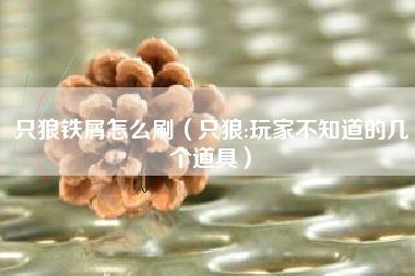 只狼铁屑怎么刷（只狼:玩家不知道的几个道具）