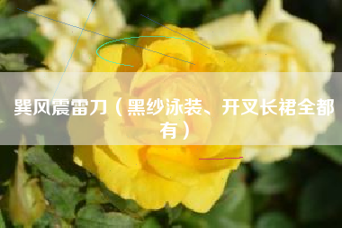 巽风震雷刀（黑纱泳装、开叉长裙全都有）