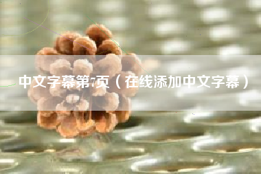 中文字幕第7页（在线添加中文字幕）