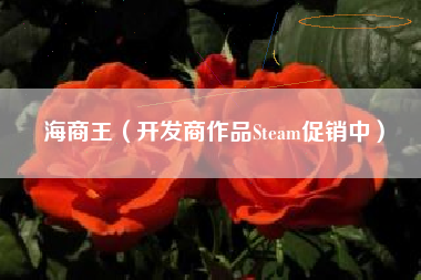 海商王（开发商作品Steam促销中）