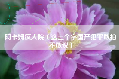 阿卡姆疯人院（这三个字国产犯罪敢拍不敢说）