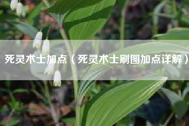 死灵术士加点（死灵术士刷图加点详解）