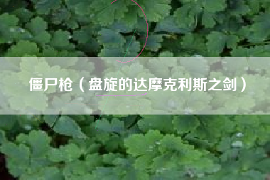 僵尸枪（盘旋的达摩克利斯之剑）