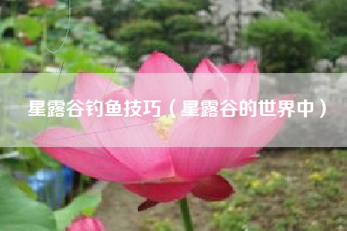 星露谷钓鱼技巧（星露谷的世界中）
