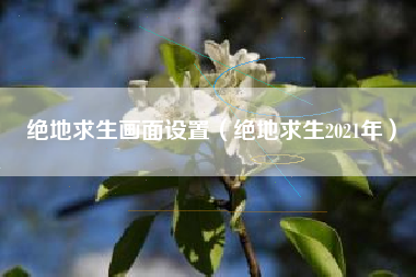 绝地求生画面设置（绝地求生2021年）