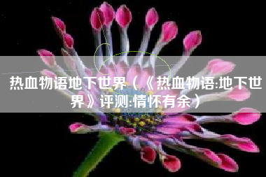 热血物语地下世界（《热血物语:地下世界》评测:情怀有余）