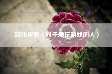 游戏皮肤（对于爱玩游戏的人）