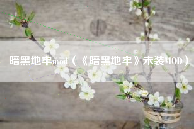暗黑地牢mod（《暗黑地牢》未装MOD）