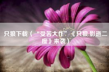 只狼下载（“受苦大作”《只狼:影逝二度》来袭）