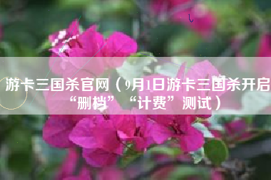 游卡三国杀官网（9月1日游卡三国杀开启“删档”“计费”测试）