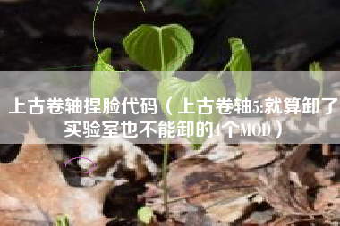 上古卷轴捏脸代码（上古卷轴5:就算卸了实验室也不能卸的4个MOD）