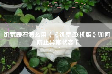 饥荒暖石怎么用（《饥荒:联机版》如何防止异常状态）