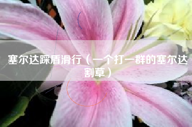 塞尔达踩盾滑行（一个打一群的塞尔达割草）