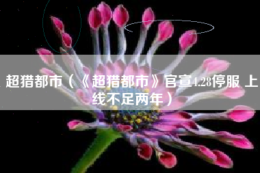 超猎都市（《超猎都市》官宣4.28停服 上线不足两年）