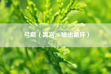 弓藏（霄宫20s输出循环）