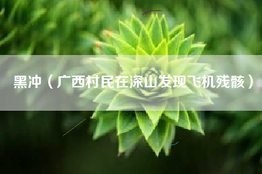 黑冲（广西村民在深山发现飞机残骸）