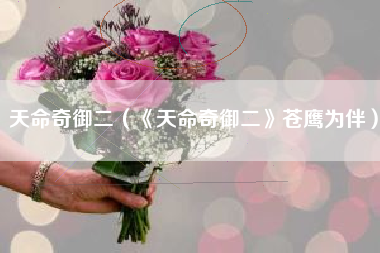 天命奇御二（《天命奇御二》苍鹰为伴）