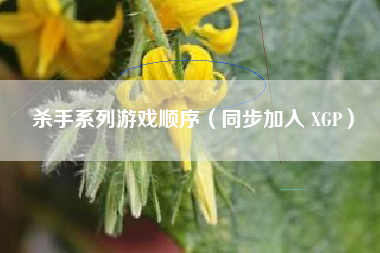 杀手系列游戏顺序（同步加入 XGP）