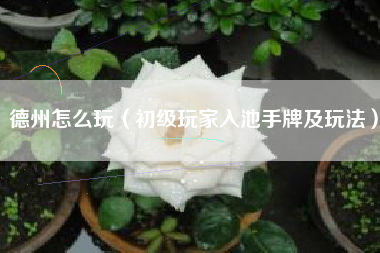德州怎么玩（初级玩家入池手牌及玩法）