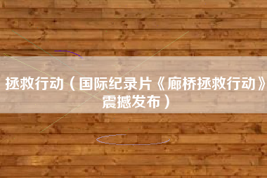 拯救行动（国际纪录片《廊桥拯救行动》震撼发布）