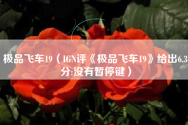 极品飞车19（IGN评《极品飞车19》给出6.3分:没有暂停键）
