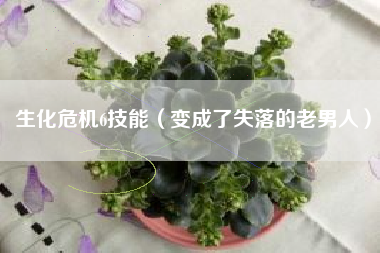 生化危机6技能（变成了失落的老男人）