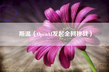 斯温（OpenAI发起全网挑战）