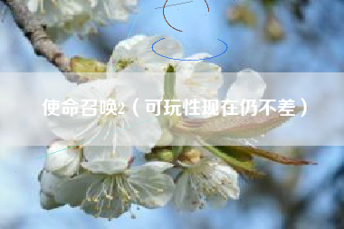 使命召唤2（可玩性现在仍不差）