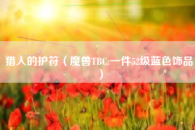 猎人的护符（魔兽TBC:一件52级蓝色饰品）