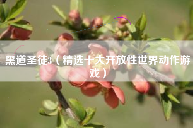 黑道圣徒3（精选十大开放性世界动作游戏）