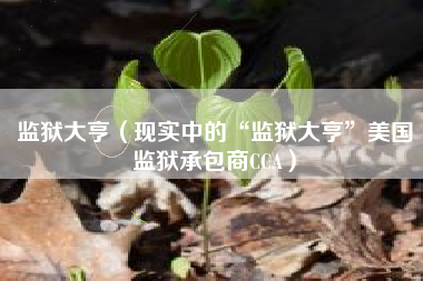 监狱大亨（现实中的“监狱大亨”美国监狱承包商CCA）