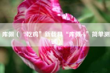 库佩（“吃鸡”新载具“库佩rb”简单测试）