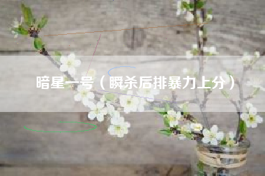 暗星一号（瞬杀后排暴力上分）