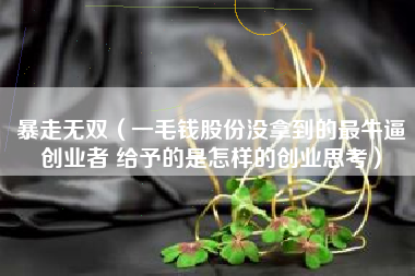暴走无双（一毛钱股份没拿到的最牛逼创业者 给予的是怎样的创业思考）