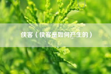 侠客（侠客是如何产生的）