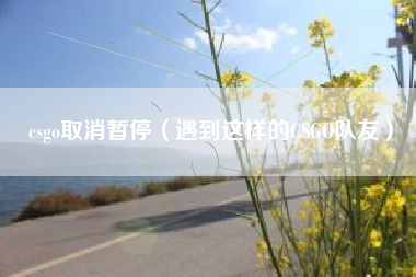 csgo取消暂停（遇到这样的CSGO队友）