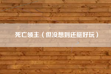 死亡领主（但没想到还挺好玩）
