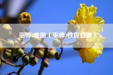 巫师3地图（巫师3铁匠位置）
