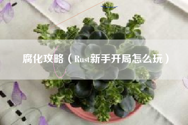 腐化攻略（Rust新手开局怎么玩）