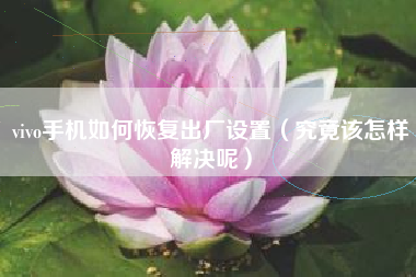 vivo手机如何恢复出厂设置（究竟该怎样解决呢）