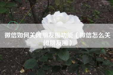微信如何关闭朋友圈功能（微信怎么关闭朋友圈）