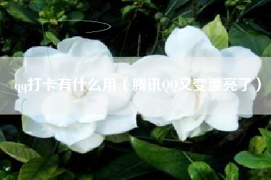 qq打卡有什么用（腾讯QQ又变漂亮了）