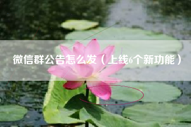 微信群公告怎么发（上线6个新功能）